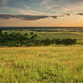 El Dorado Hills Golden Sunset
