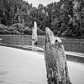 Dissolving Wood Pier 