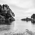 Low tide at night