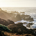 Rocky California Morning Coastline 